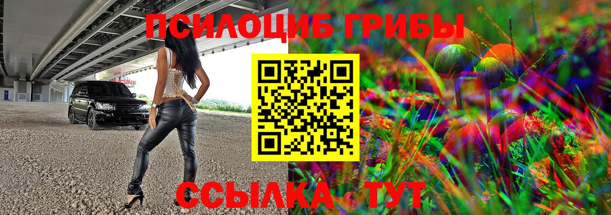Псилоцибиновые грибы Cubensis  Псилоцибиновые грибы Magic Shrooms  как найти закладки  Вход с VPN  Печора 